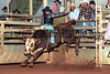 1997 RODEOS : 49 galleries with 707 photos