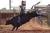 1998 RODEOS : 50 galleries with 971 photos